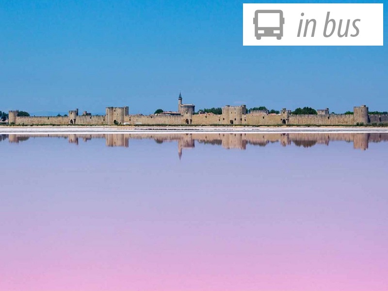 PROVENZA E CAMARGUE
