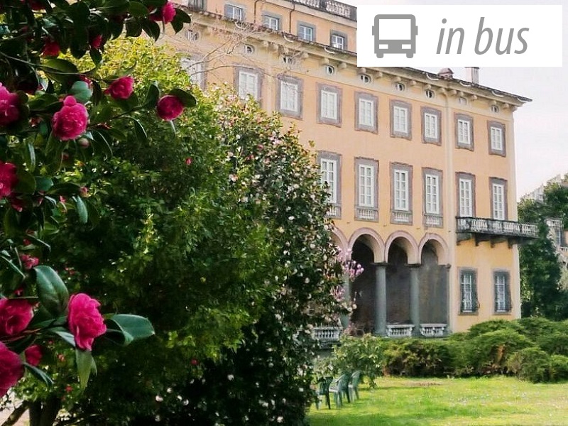 TOSCANA, I BORGHI DELLE CAMELIE
